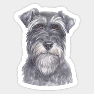 Salt & Pepper Miniature Schnauzer Watercolor Art Sticker